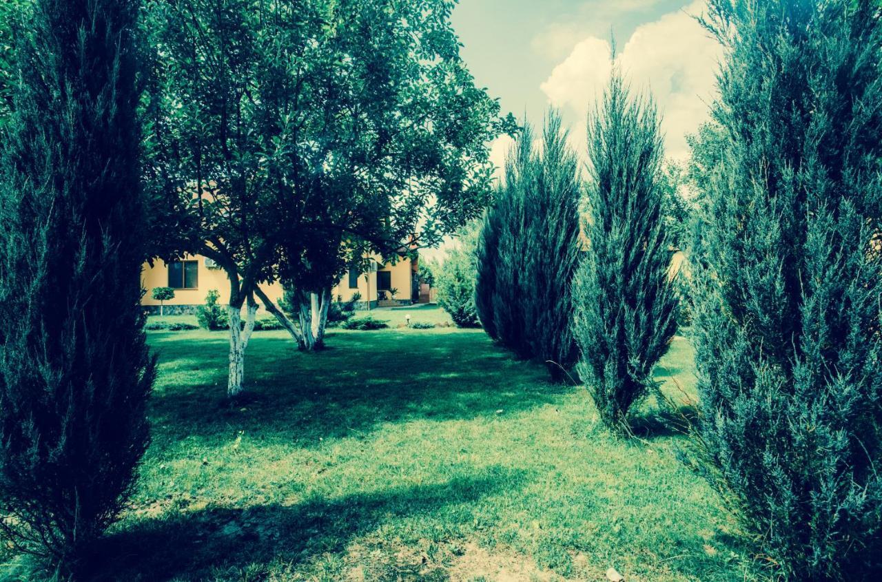 Sunrise Boutique Hotel Beregovo Exterior foto